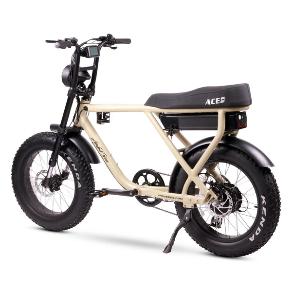 Ace fat deals tyre electric bike