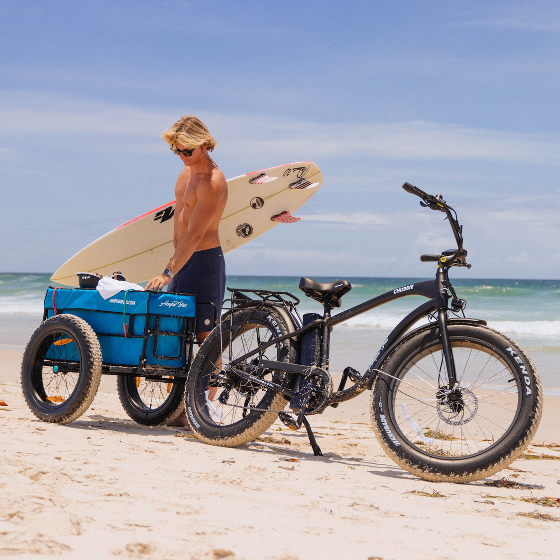 Beach Deluxe Bike Trailer