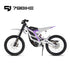 79Bike Falcon Pro