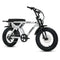 Fatboy The DNA V3 Performance E-Bike