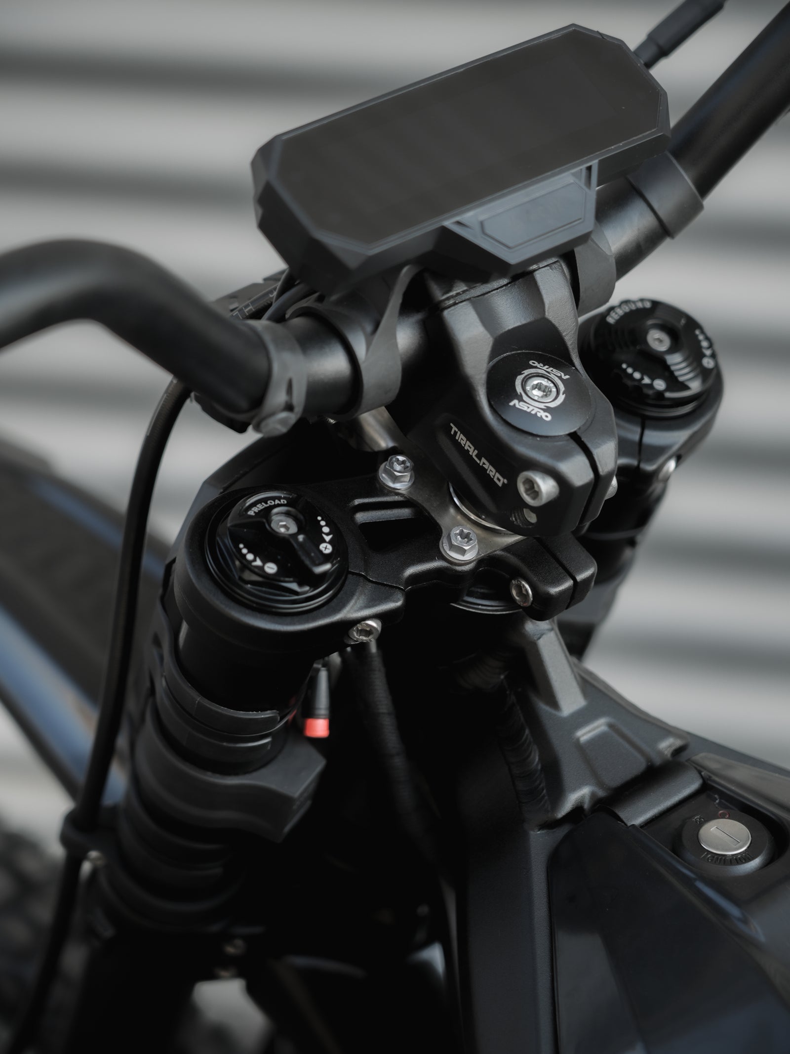 Arctic Leopard XE Pro S