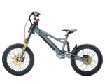 Takani 20" Electric Balance Bike TK2060-RS