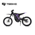 79Bike Falcon Pro