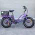Ampd Bros Stubbie S3 (Pre-Owned)