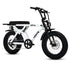 Fatboy The DNA V3 Performance E-Bike