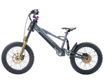 Takani 20" Electric Balance Bike TK2060-RS