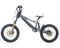 Takani 20" Electric Balance Bike TK2060-RS