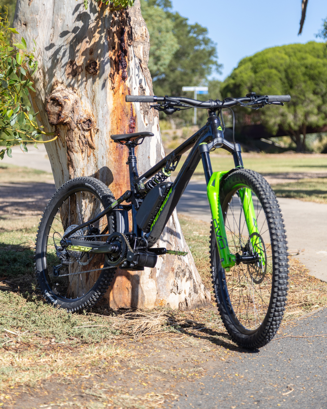 Merida One-Sixty FR 600 + CYC X1 Stealth Mid-Drive