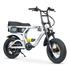 Ampd Bros Ace-X Mini Pro Electric Bike