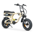 Ampd Bros Ace-X Mini Pro Electric Bike