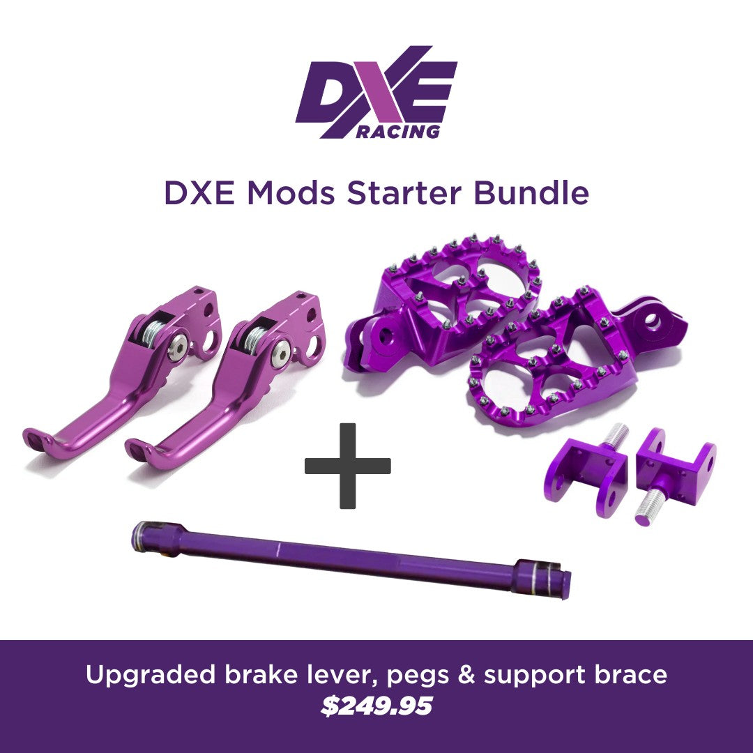 DXE SurRon Light Bee Starter Bundle - Purple