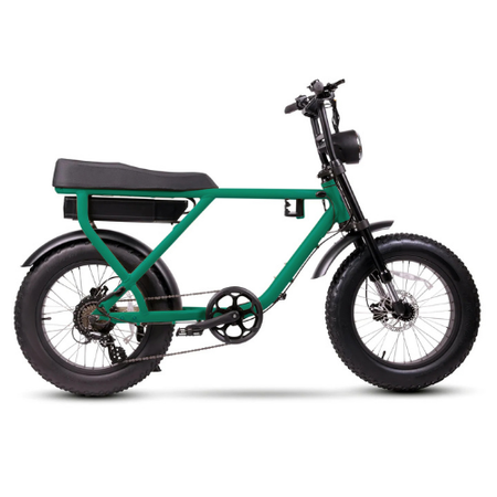 electric bicycles for sale melbourne Buy Rapido 2026 | Daily Commuter Bicycle eBike | Electric Bikes for