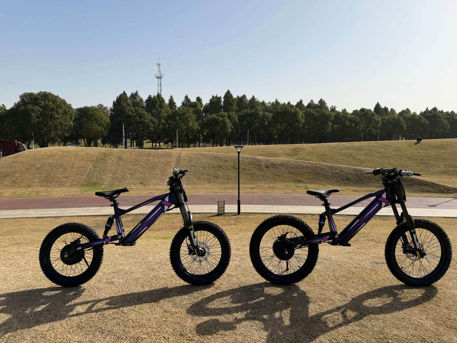 DXE Racing X-20 Electric Balance Bike