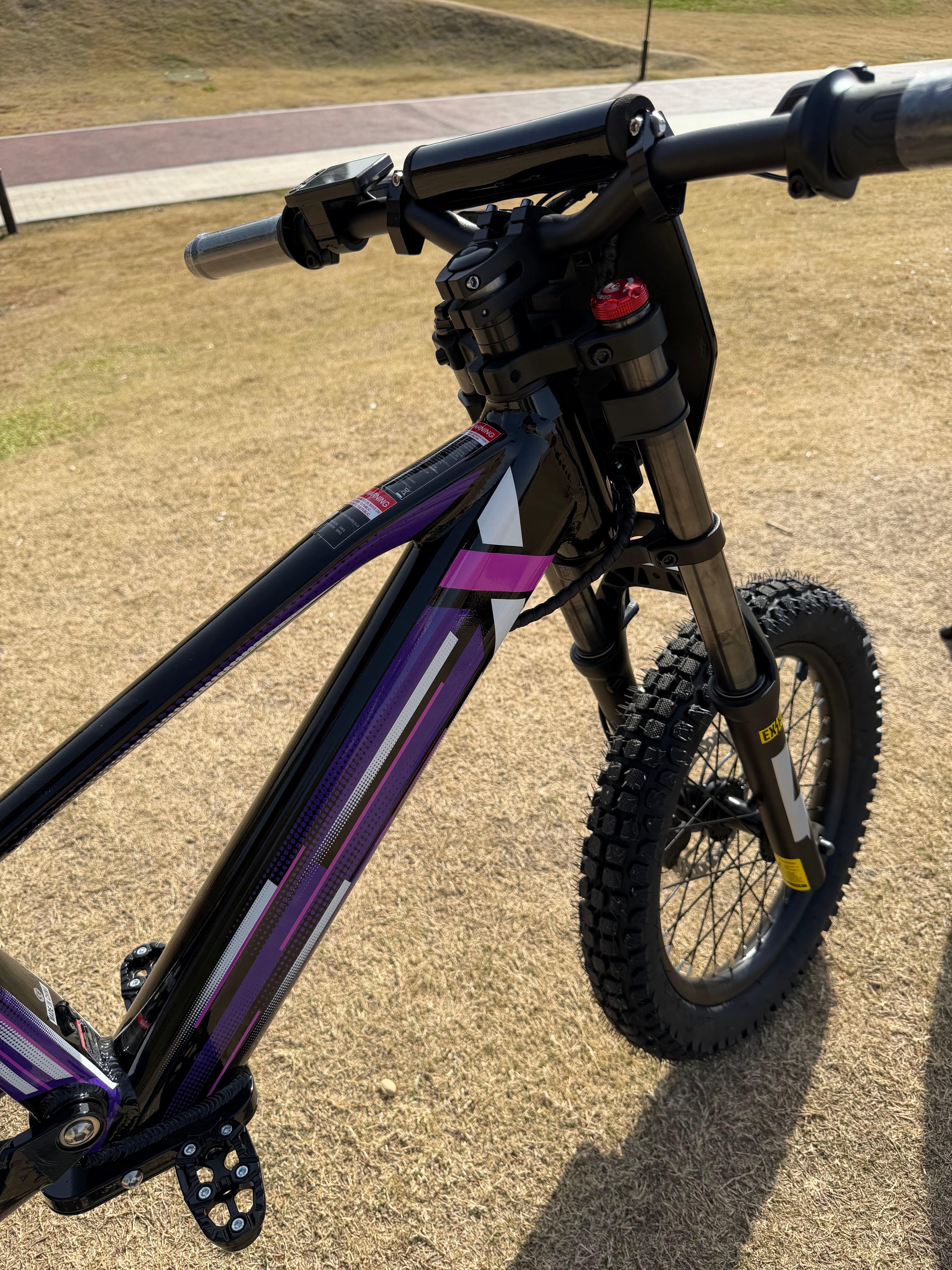 DXE Racing X-20 Electric Balance Bike