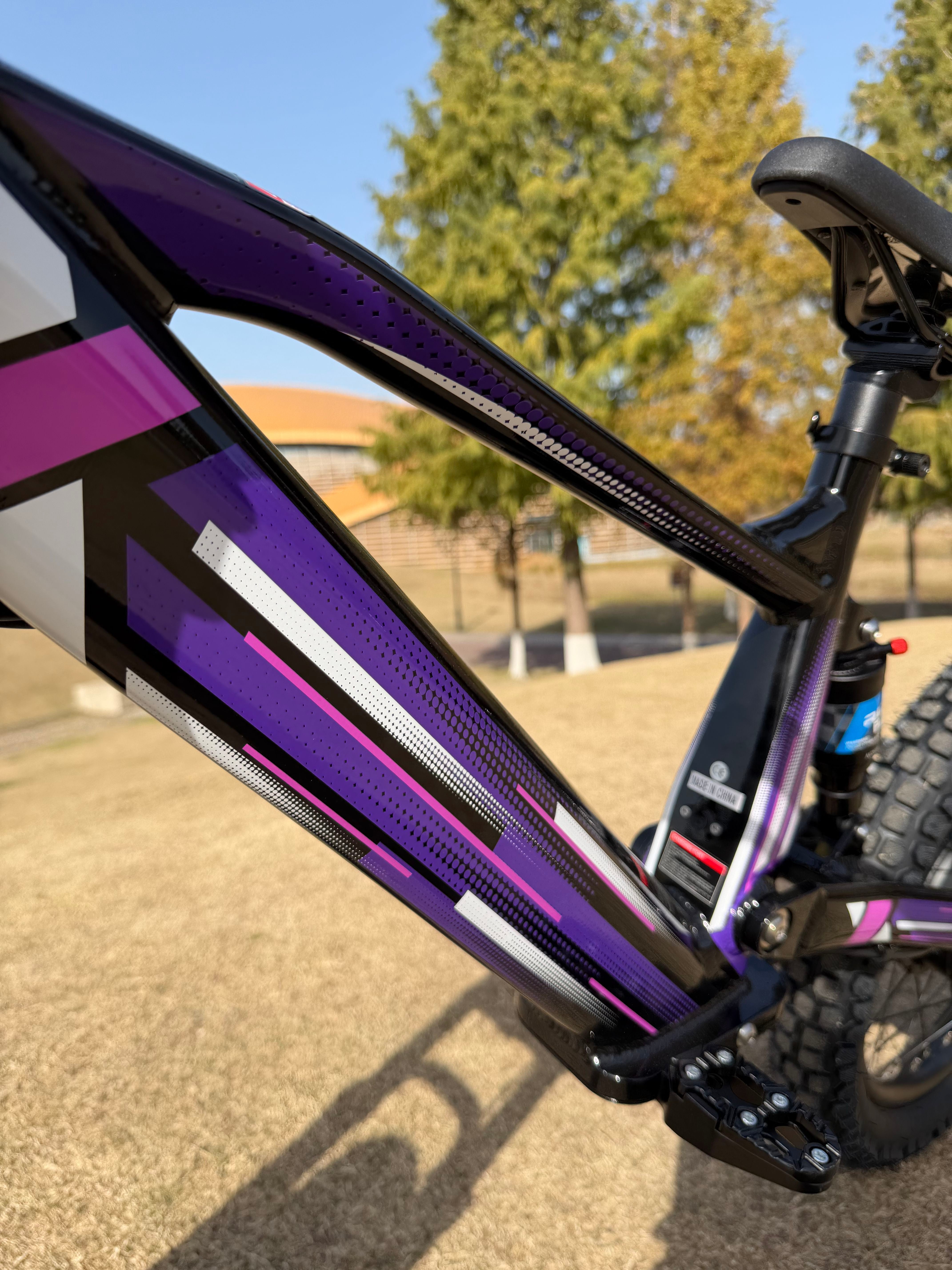 DXE Racing X-20 Electric Balance Bike