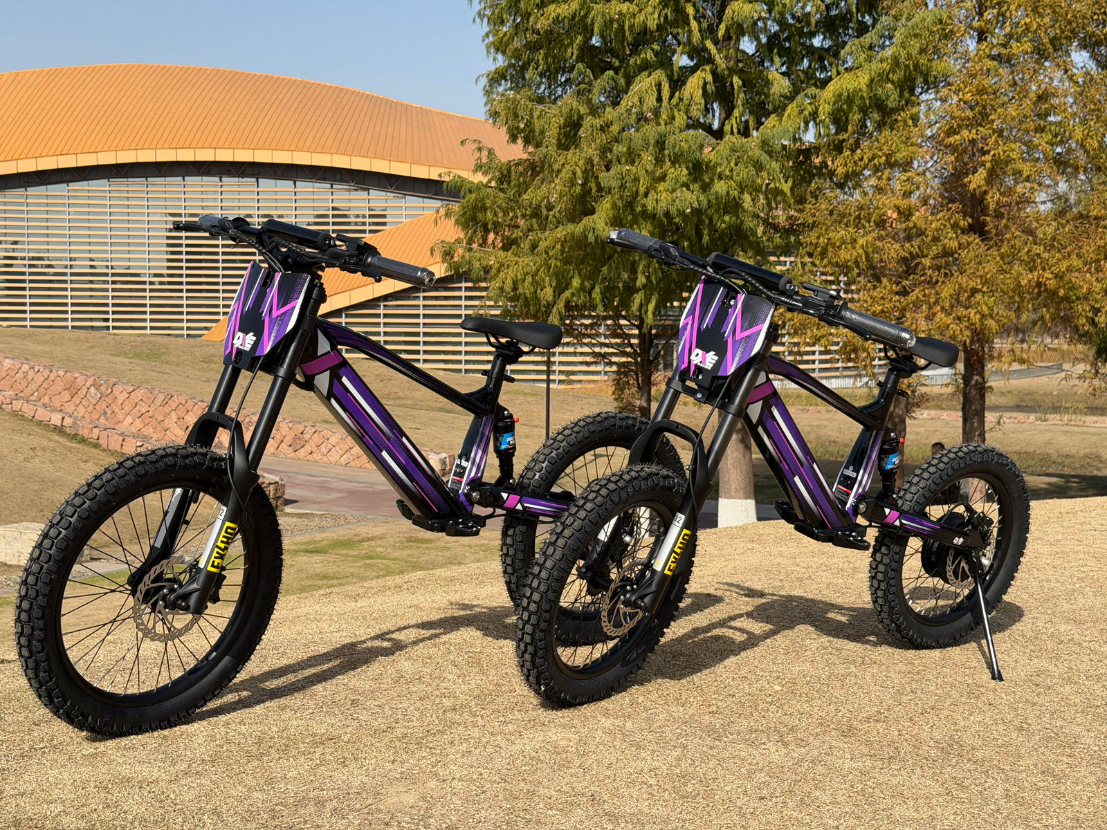 DXE Racing X-18 Electric Balance Bike