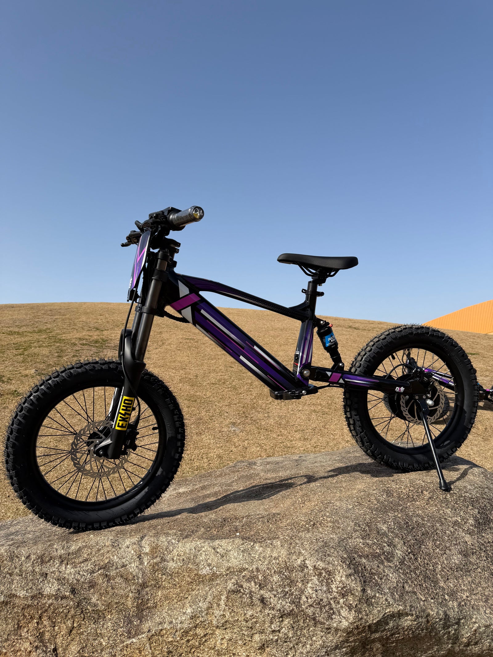 DXE Racing X-20 Electric Balance Bike