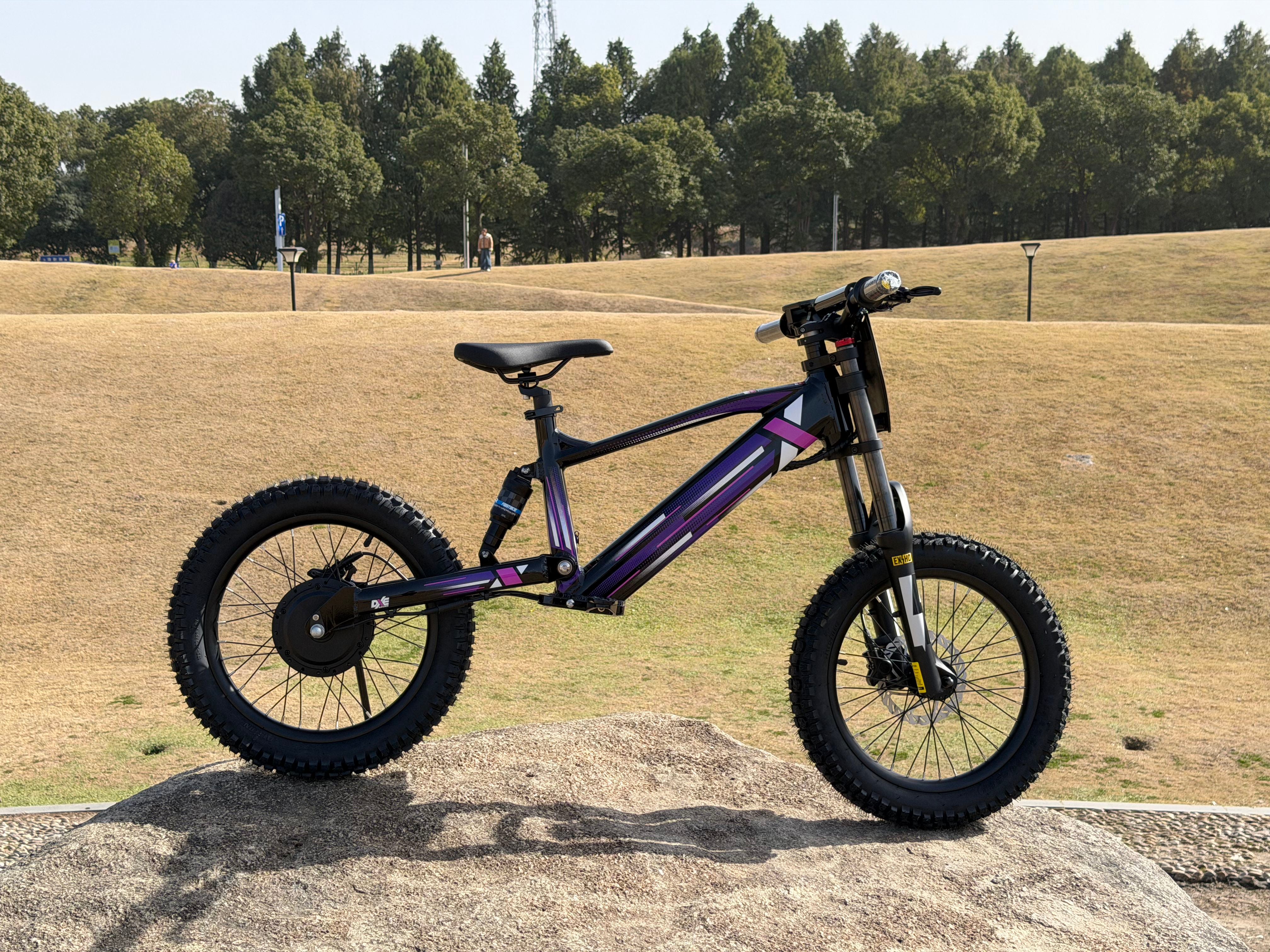 DXE Racing X-20 Electric Balance Bike