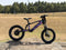 DXE Racing X-20 Electric Balance Bike