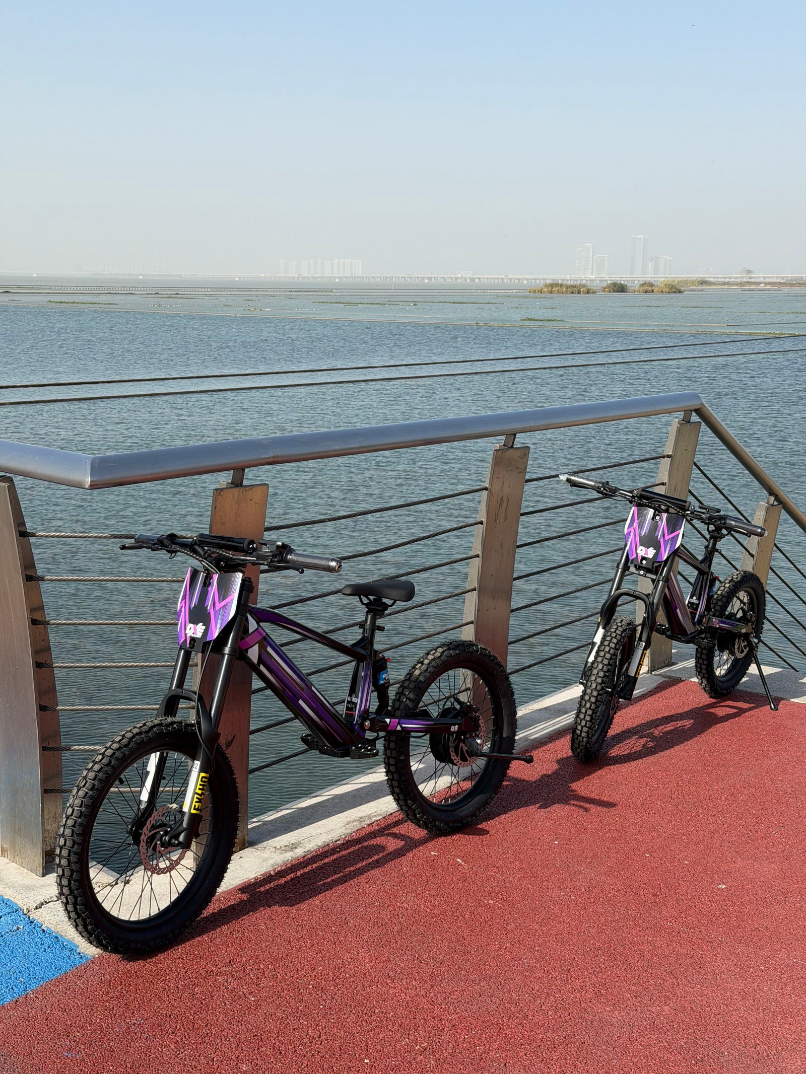 DXE Racing X-20 Electric Balance Bike