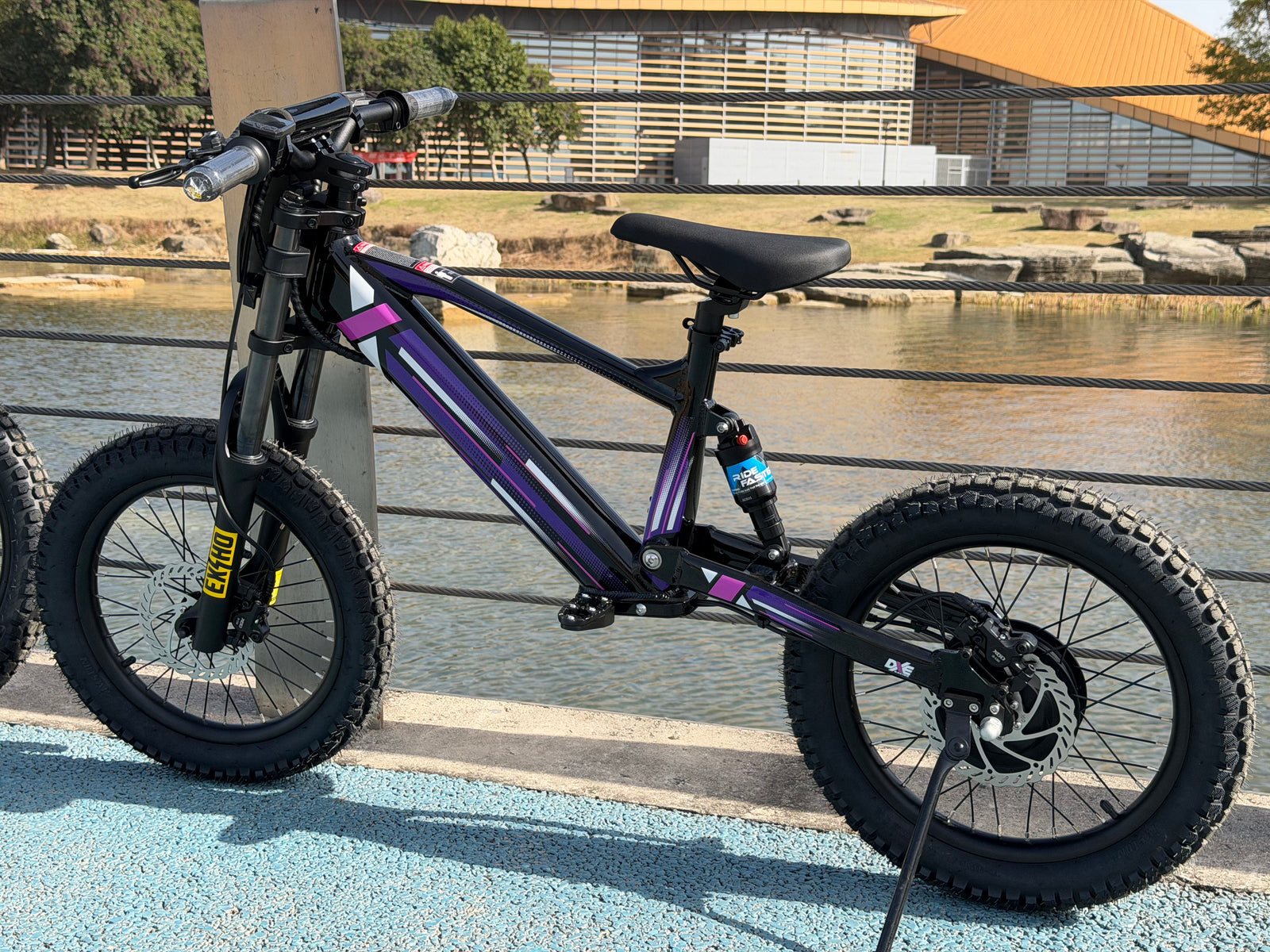 DXE Racing X-18 Electric Balance Bike