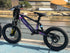 DXE Racing X-20 Electric Balance Bike