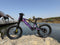 DXE Racing X-18 Electric Balance Bike