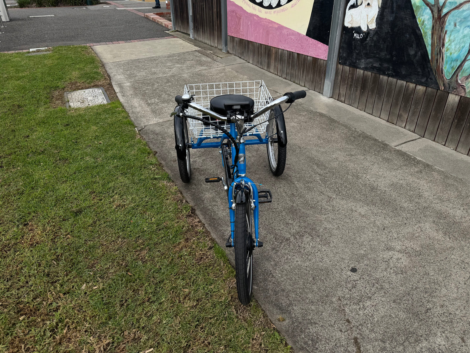 Gomier Kids Custom Electric trike