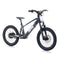 RFN EVO Racing 20" Electric Balance Bike
