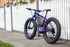 Apollo 52v 250w-750w Custom Built Fat Tyre e-Bike with Throttle COMMUTER E-BIKES Melbourne Powered Electric Bikes 