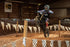 SurRon Ultra Bee HP Electric Dirt Bike (2026)
