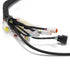 Talaria xXx Main Wiring Harness