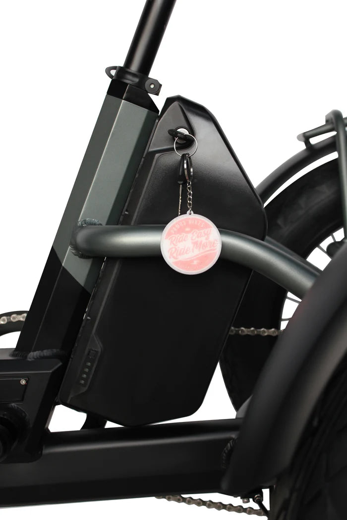 Vamos Papa Grande Pro 2025 - 3 Wheel E-Trike