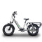 Benzina Zero Hauler Cargo E-Bike