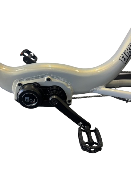 Ryder Eureka Electric Trike