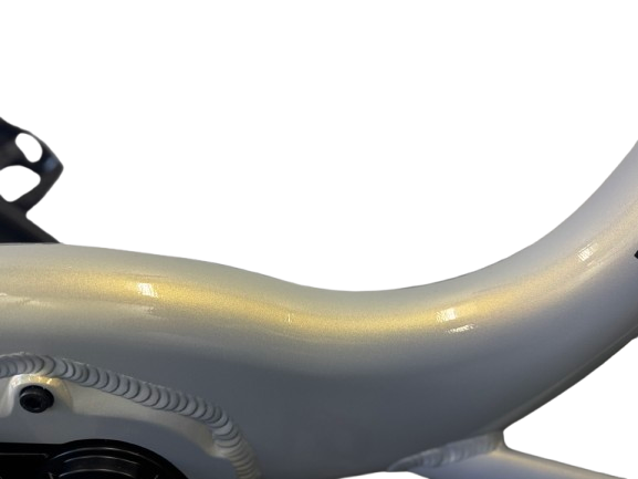 Ryder Eureka Electric Trike