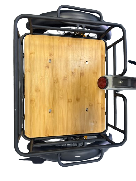 Ryder Eureka Electric Trike