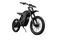 E-Ride Pro SS 4.0