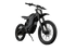 E-Ride Pro SS 4.0