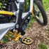 DXE True Carbon - Frame Guard Set