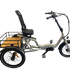 Ryder Eureka Electric Trike