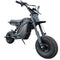 The Rizzler Bike