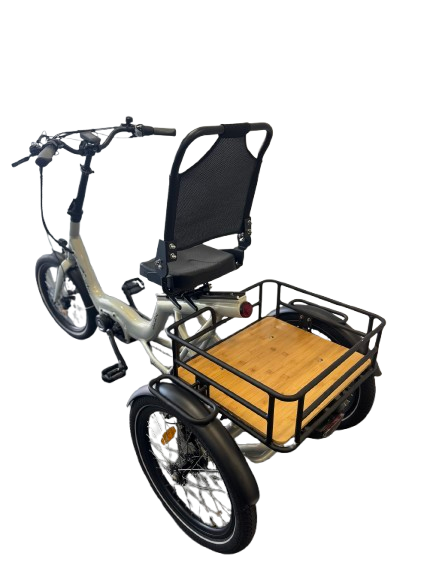 Ryder Eureka Electric Trike