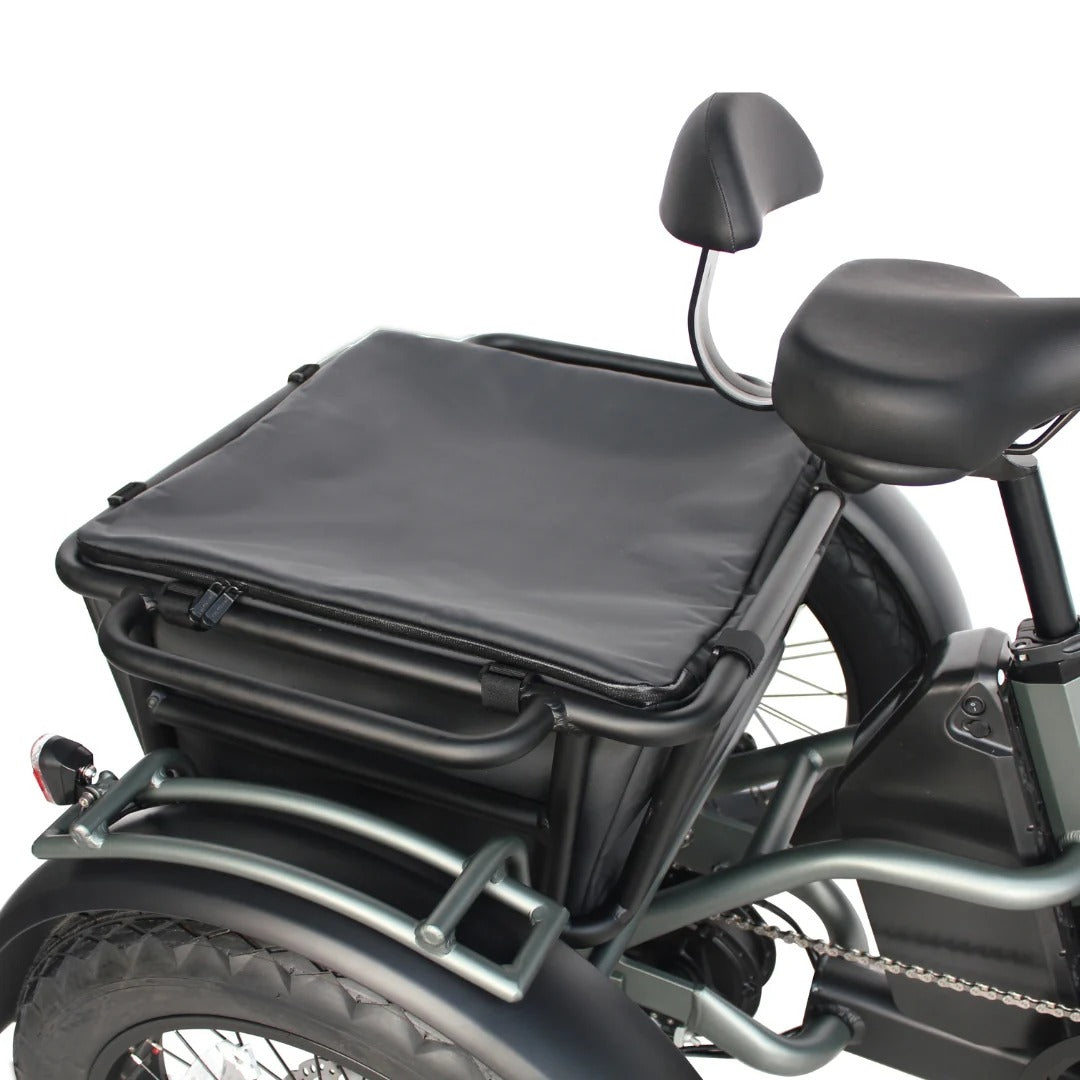 Vamos Papa Grande Pro 2026 - 3 Wheel E-Trike