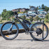 Apollo 48v 750w Custom Built Hub-Motor Electric Bike with Throttle Melbourne Powered Electric Bikes 