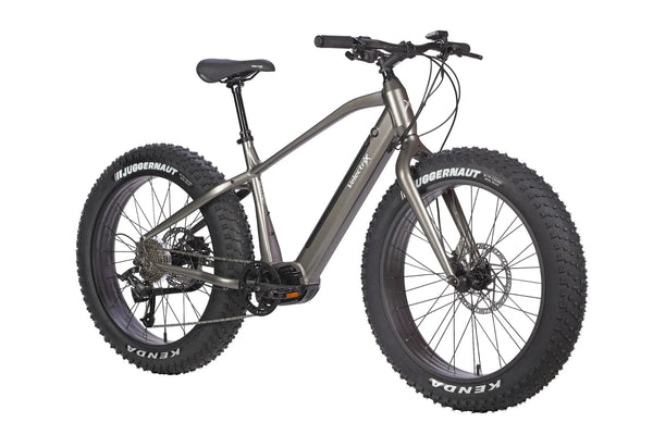 Fat wheel electric discount bike